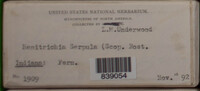 Image Associated With the Occurence